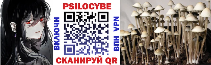 Псилоцибиновые грибы Magic Shrooms  как найти закладки  Стародуб 